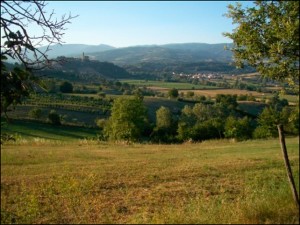 Agriturismo Poggio a Poppi